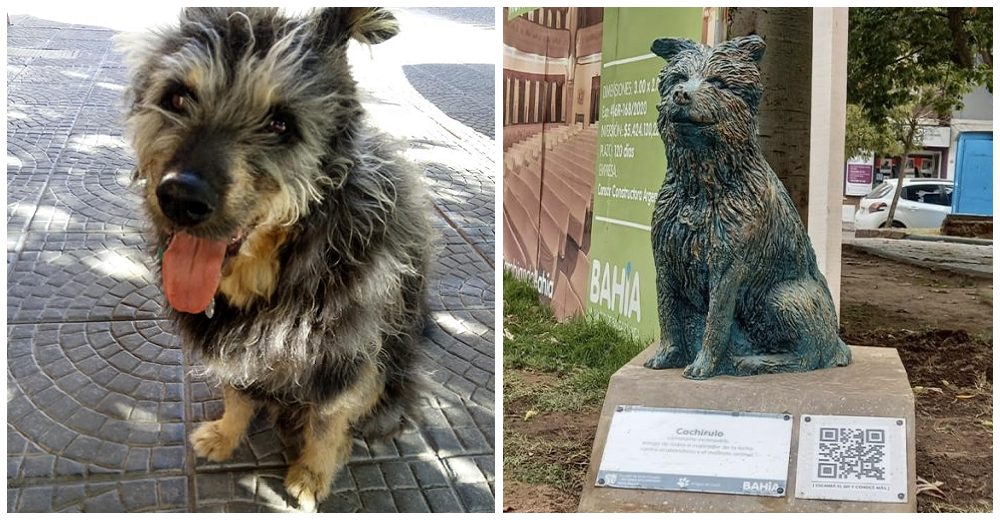 Con una estatua le rinden homenaje a un perrito callejero fallecido amado por todos los vecinos