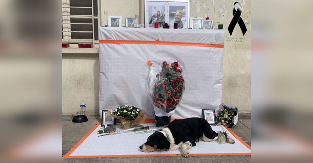Indigente muere de tristeza tras el robo de su perrito y ahora Guizmo se aferra a su memorial