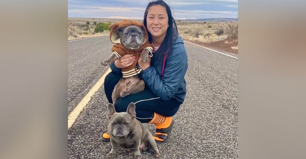 Les agradece a sus 2 perros por ayudarla a vencer al cáncer regalándoles un viaje soñado Les agradece a sus 2 perros por ayudarla a vencer al cáncer regalándoles un viaje soñado