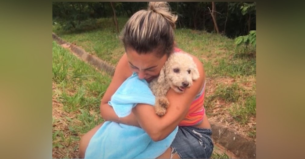 Se reencuentra con su amada perrita tras movilizar a miles de personas desesperada por hallarla Se reencuentra con su amada perrita tras movilizar a miles de personas desesperada por hallarla