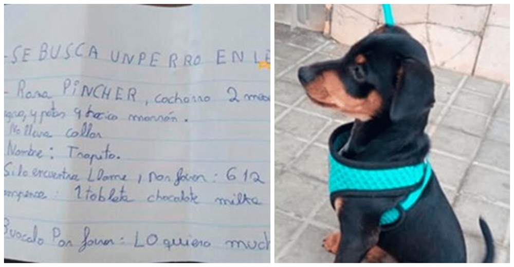 Desolada niña ofrece un chocolate como recompensa por su perrito perdido y la Policía interviene