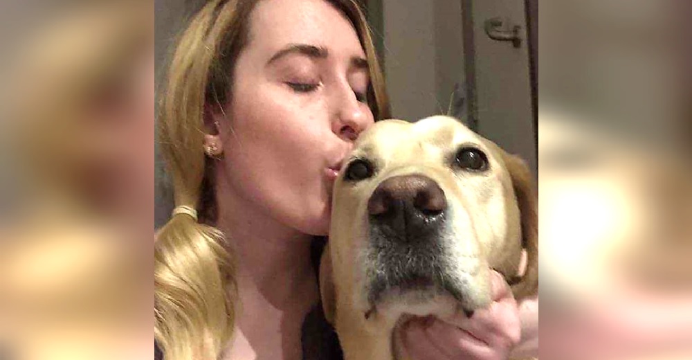 Una joven ciega se reencuentra con su perrita guía después de 7 meses de incertidumbre Una joven ciega se reencuentra con su perrita guía después de 7 meses de incertidumbre