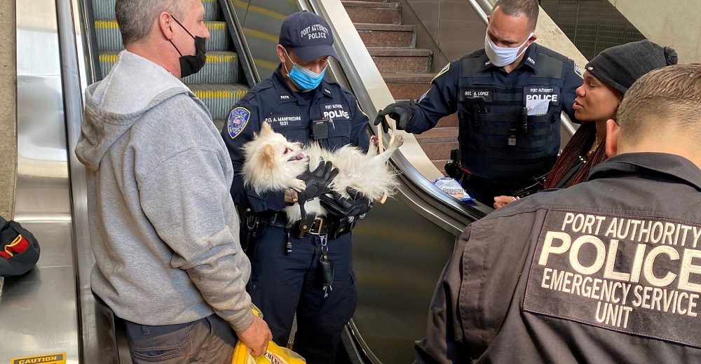 Los policías acuden a ayudar a un perrito que lloraba de dolor atrapado en una escalera mecánica
