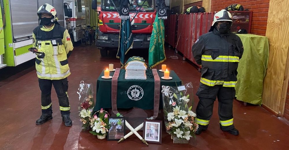 «Llega veloz en tu camión al cielo»- Le dan el último adiós a un perro miembro de los bomberos