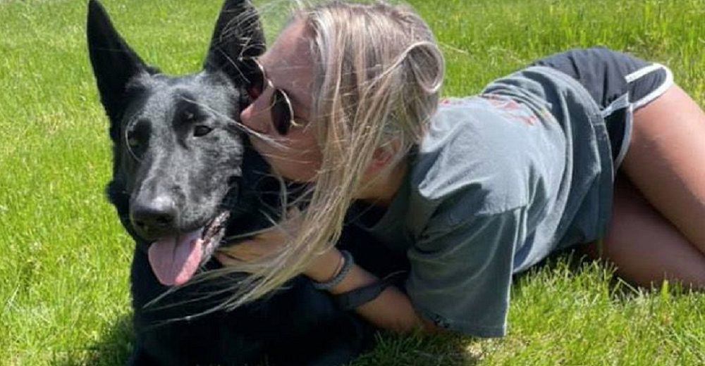 Familia religiosa encuentra un perrito al que todos buscaban desesperados y deciden quedárselo