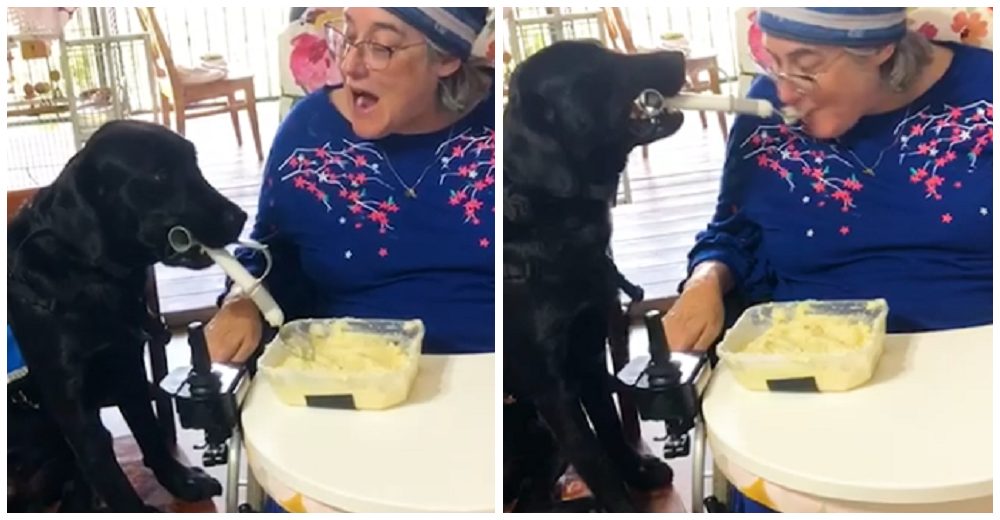 Pierde la movilidad de sus brazos y su leal perro la ayuda cada día a comer