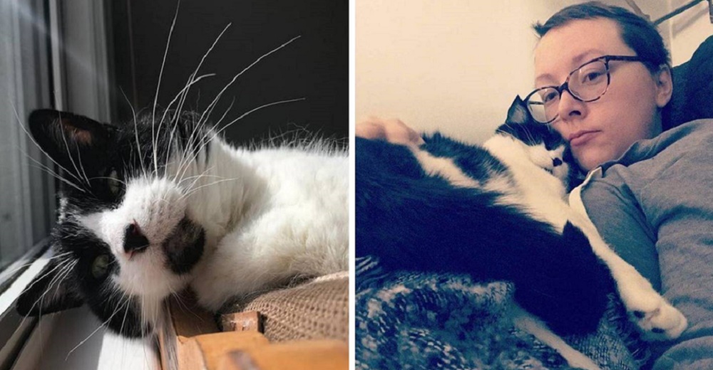 Su gato no se separaba del lado izquierdo de su pecho hasta que la operaron para salvarla Su gato no se separaba del lado izquierdo de su pecho hasta que la operaron para salvarla