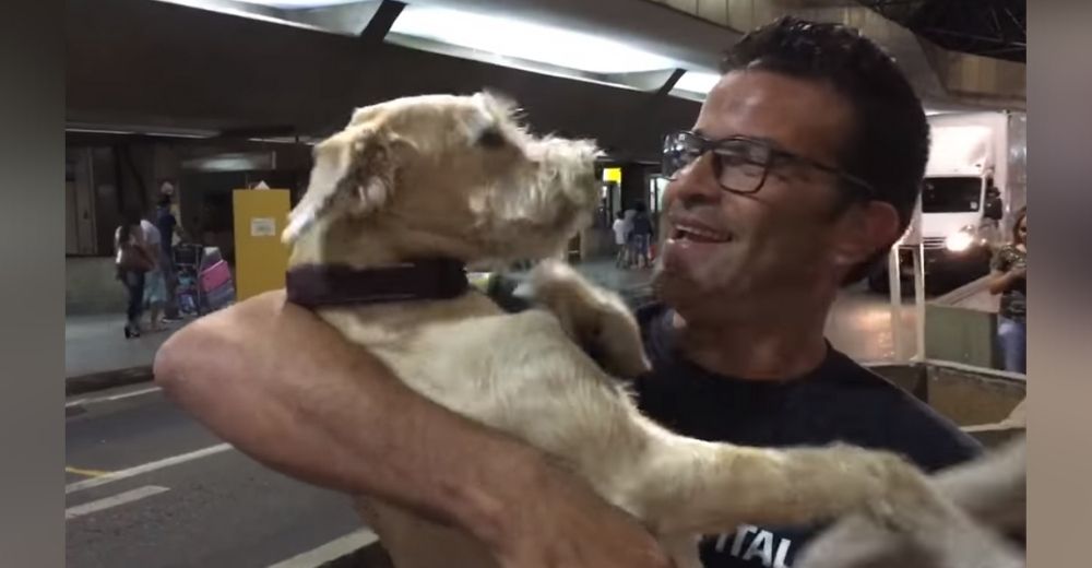 Un perrito salta a los brazos de su dueño llorando de alegría, pasó días desoladores sin él Un perrito salta a los brazos de su dueño llorando de alegría, pasó días desoladores sin él