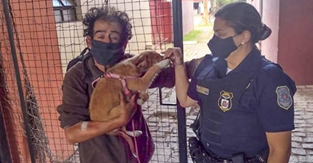 Indigente al que hirieron por robarle, suplica a la Policía una sola cosa: «Cuiden a mi perrito»