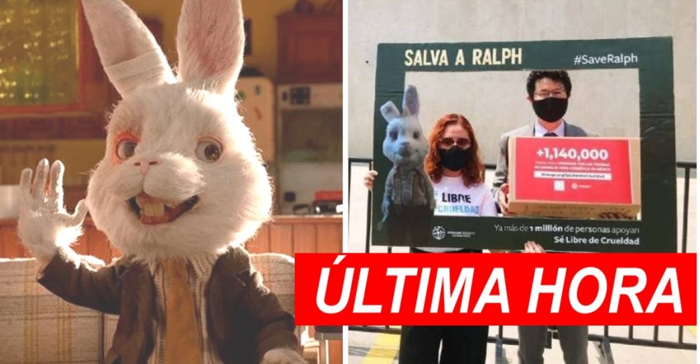 La campaña de Ralph da resultados: prohíben el uso de animales en la industria cosmética La campaña de Ralph da resultados: prohíben el uso de animales en la industria cosmética