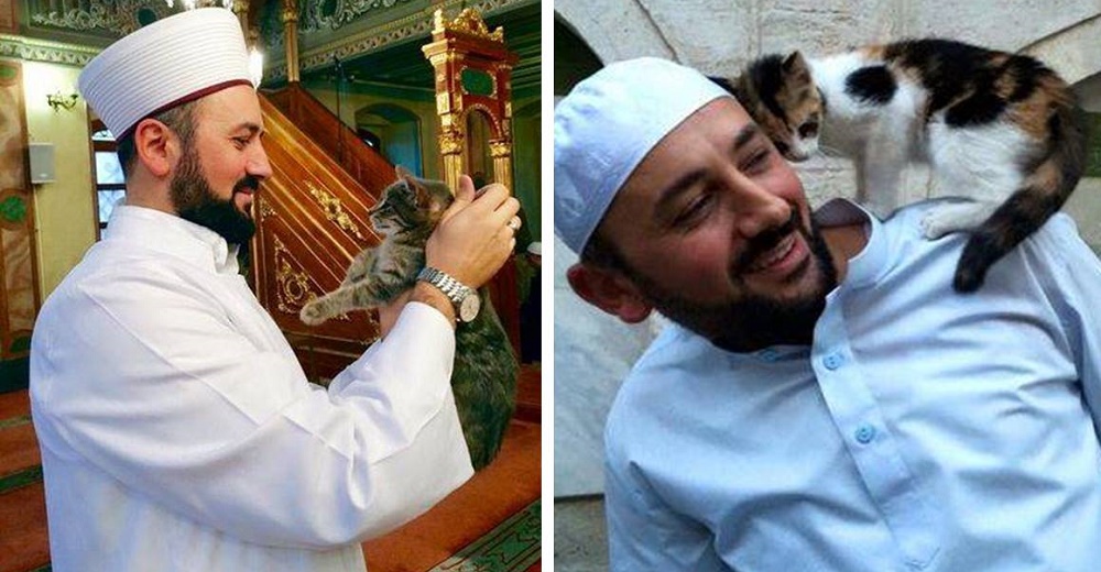 Abre la mezquita para acoger a decenas de gatitos callejeros que buscan un lugar para protegerse