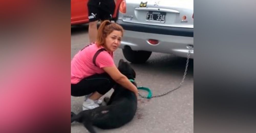 La docente que arrastró a su perrito por 7 calles para «castigarlo» recibe una polémica condena La docente que arrastró a su perrito por 7 calles para «castigarlo» recibe una polémica condena