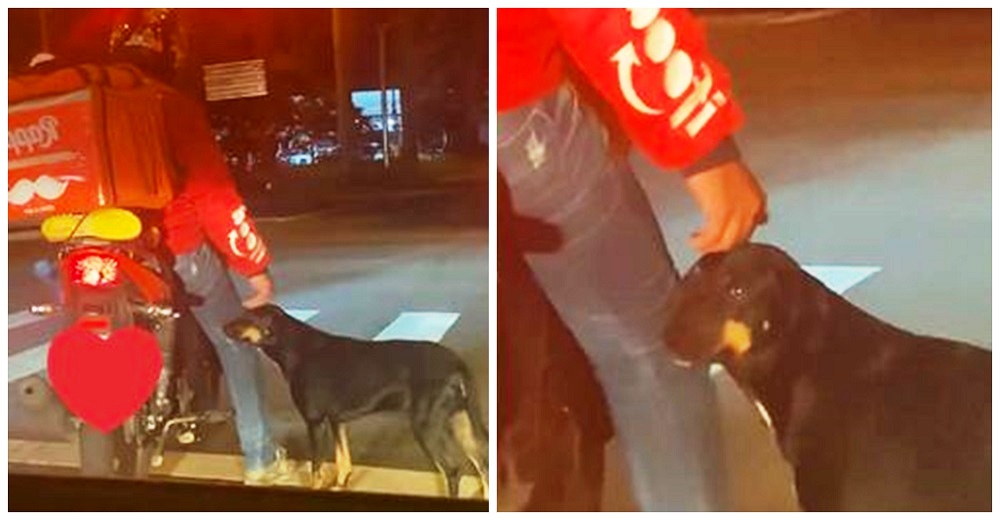 Un perrito se acerca a un repartidor en moto para pedirle un poquito de cariño