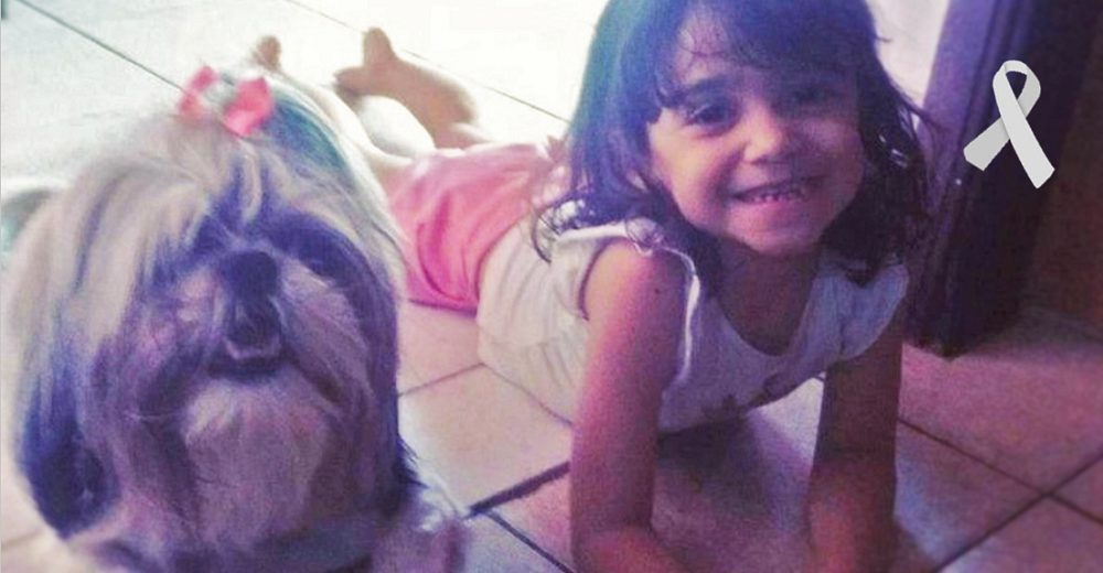 Una niña de 8 años llora la pérdida de su amada perrita que murió intentando salvarla