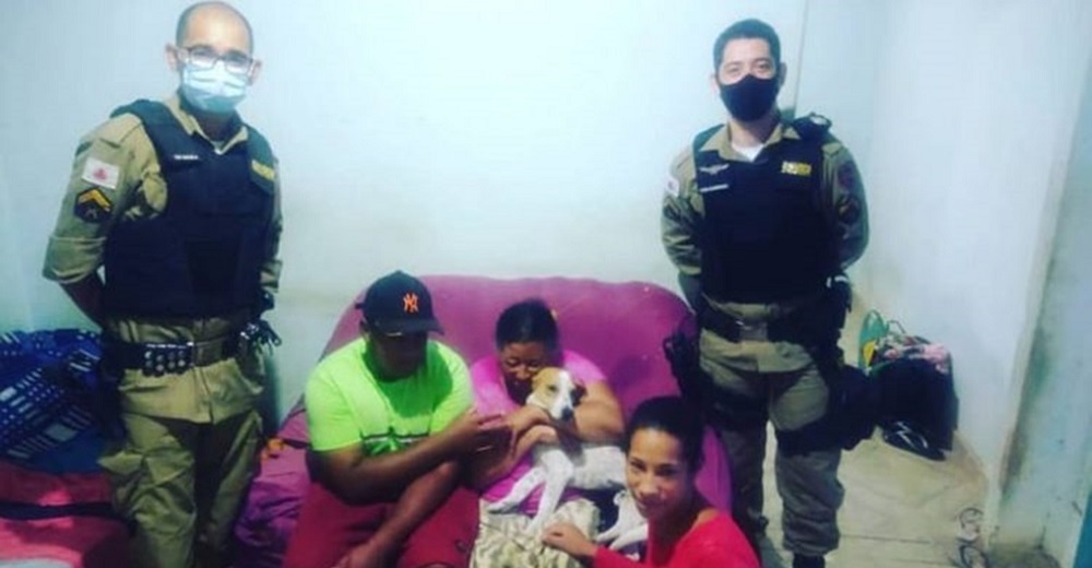 Perrito que acabó grave por poner su cuerpo para proteger a su dueña de su esposo, vuelve a casa Perrito que acabó grave por poner su cuerpo para proteger a su dueña de su esposo, vuelve a casa