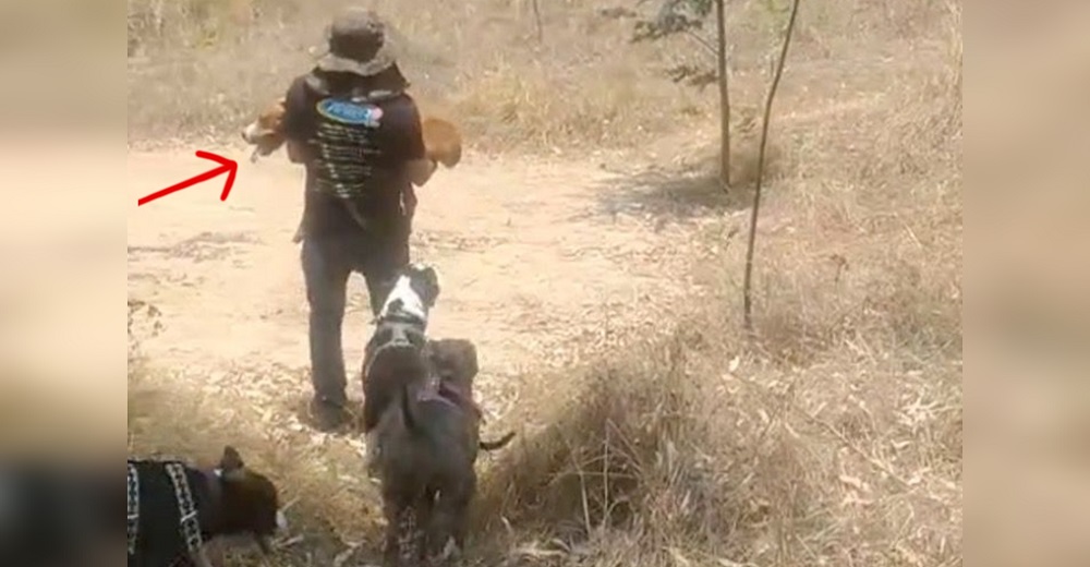 Graban a un hombre con un perro enfermo que lleva en brazos–»Quiere que disfrute como los demás» Graban a un hombre con un perro enfermo que lleva en brazos–»Quiere que disfrute como los demás»