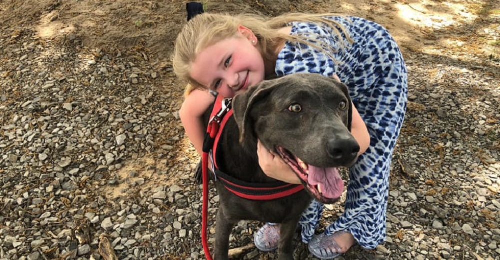 Un perro consuela a una niña de 6 años afligida en el funeral de su papá emocionando a todos