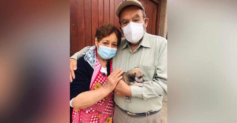 Abuelos logran por fin adoptar una cachorrita tras años siendo rechazados por ser mayores