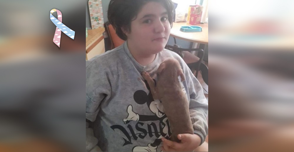 Niña de 11 años muere como heroína en un desesperado intento por salvar a sus cachorros pitbull Niña de 11 años muere como heroína en un desesperado intento por salvar a sus cachorros pitbull