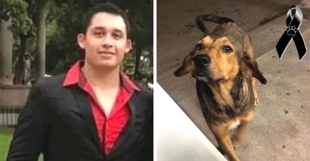 Finalmente se hace justicia al perro Rodolfo Corazón, que perdió la vida a manos de un desalmado
