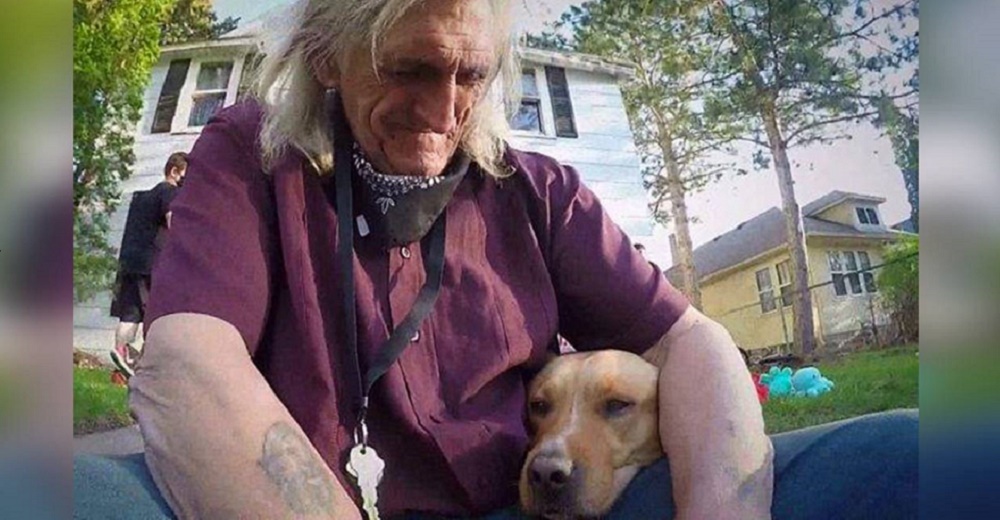 Llora desconsolado por la perrita de servicio robada dentro de su auto tras 10 años a su lado Llora desconsolado por la perrita de servicio robada dentro de su auto tras 10 años a su lado