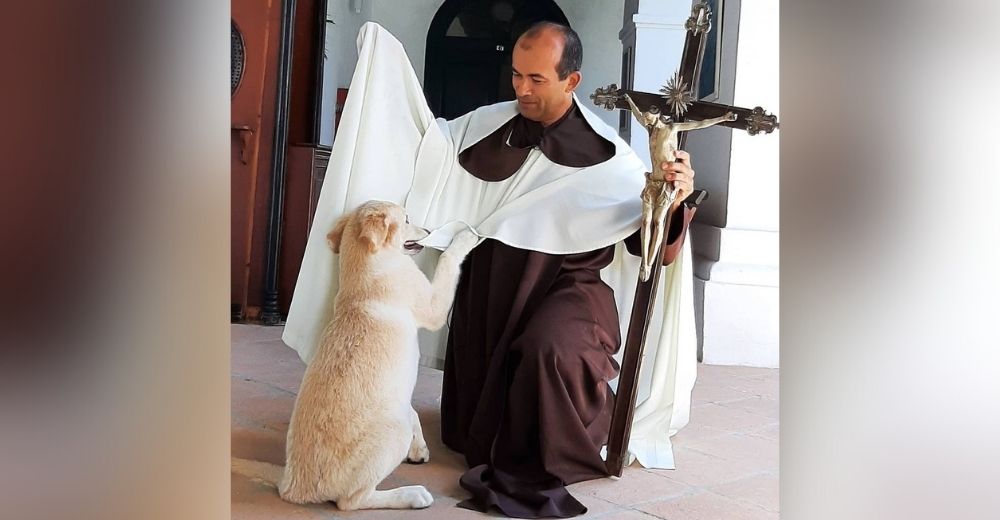 Un energético perrito destroza la ropa del sacerdote en plena misa, pero él lo perdona