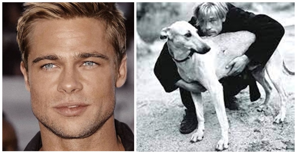 Brad Pitt interrumpe la grabación de una película para recoger 13 callejeritos y adopta a 3