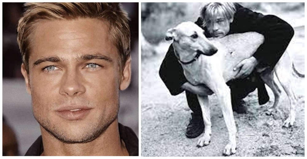 Brad Pitt interrumpe la grabación de una película para recoger 13 callejeritos y adopta a 3 Brad Pitt interrumpe la grabación de una película para recoger 13 callejeritos y adopta a 3