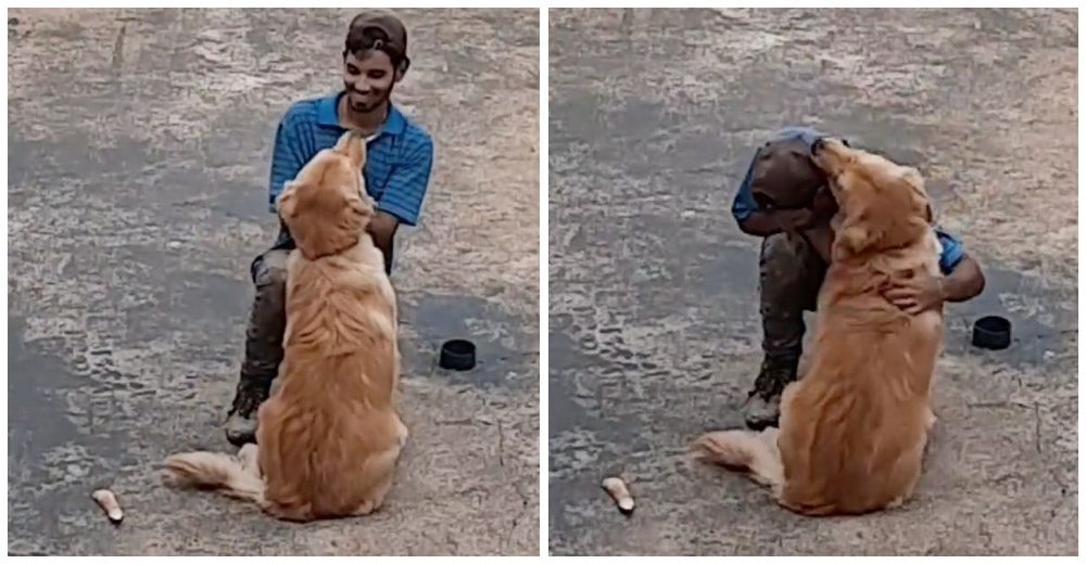 Perrita conoce a un albañil en su primer día de trabajo y lo consuela para que deje los nervios