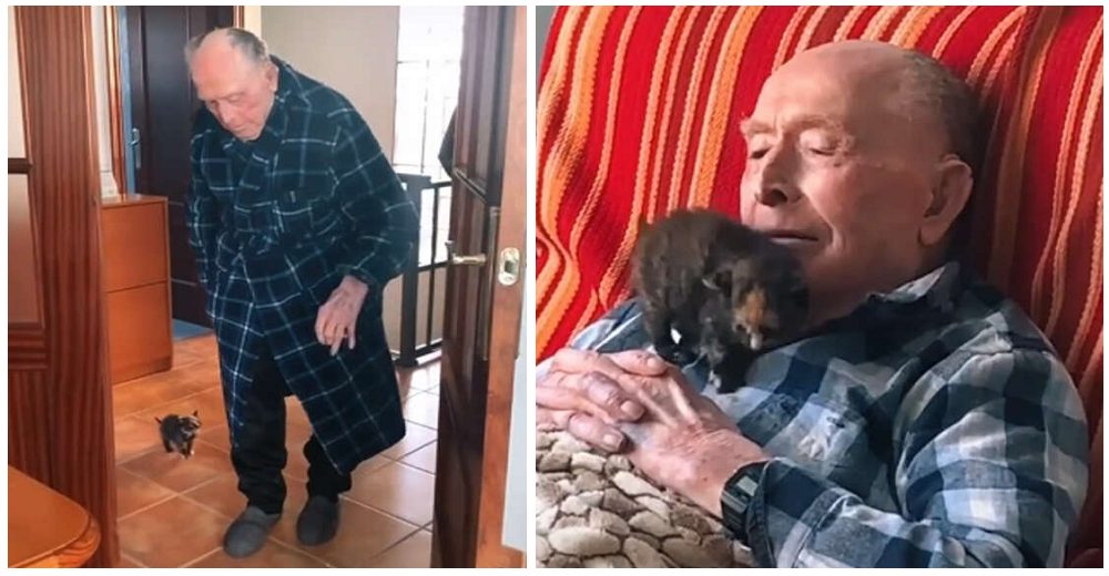 Graban al abuelito de 100 años que no puede separarse de un diminuto gatito Graban al abuelito de 100 años que no puede separarse de un diminuto gatito