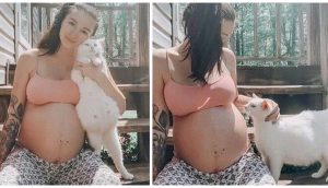 Una mujer conoce a una gatita callejera embarazada y dan a luz al mismo tiempo
