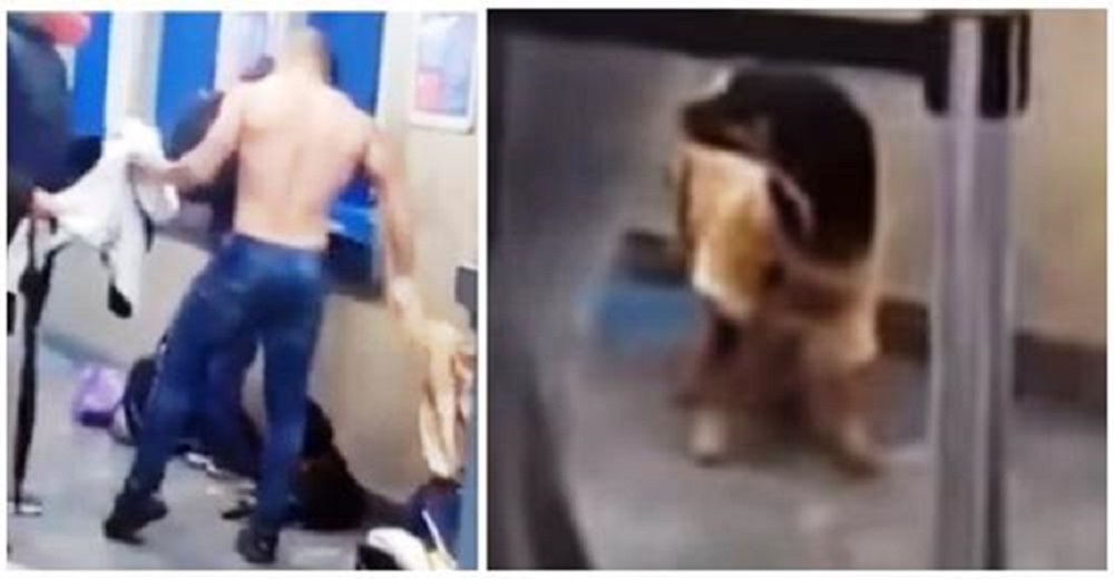 Graban al hombre que se sacó su camiseta favorita para arropar a un perro que temblaba de frío