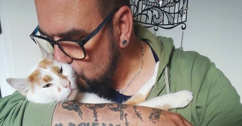 Tras un mes desamparado en la calle, el rescate del gatito más consentido hace llorar a todos