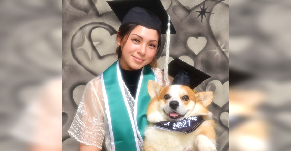Celebra su graduación con el perro de terapia que estuvo a su lado ayudándola en su carrera