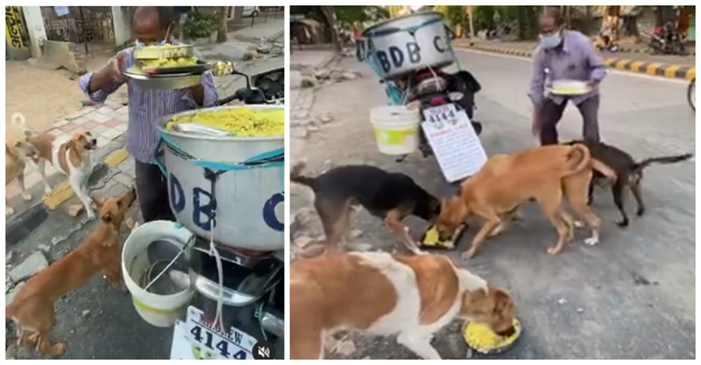 Podría morir pero recorre la ciudad entera alimentado 200 callejeritos que todos rechazan