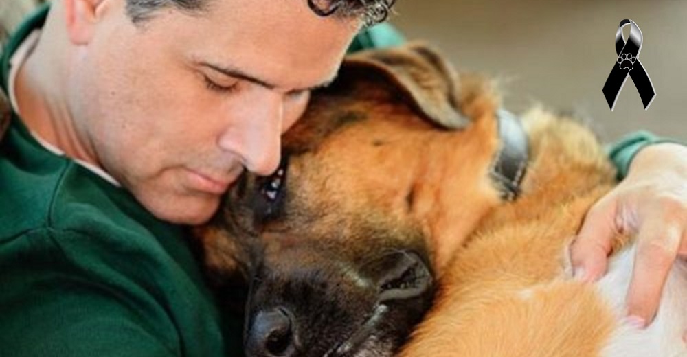 «Fue un angelito que vino a ayudarme»– Conductor de televisión despide entre lágrimas a su perro