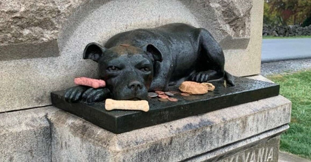 Las personas siguen dejando huesos y flores en el monumento de una perrita heroica