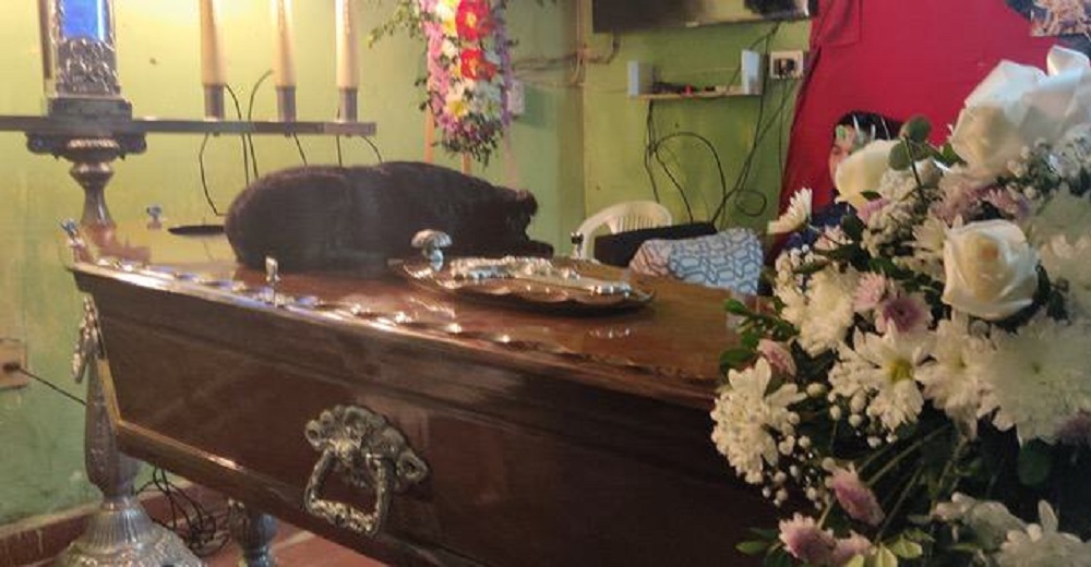 Llora sobre el ataúd de su amado dueño y se niega a separarse de su lado en su funeral