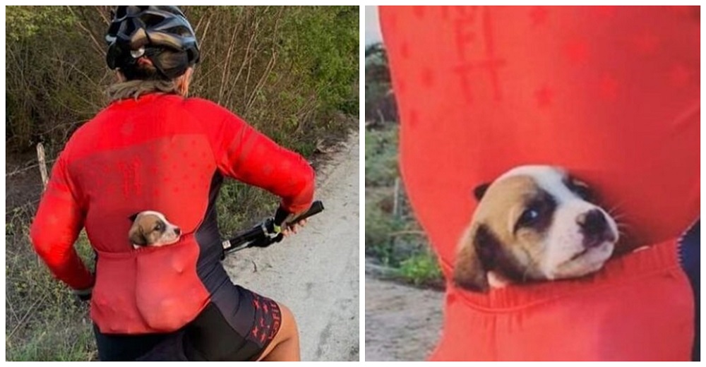 Ciclista ve un perrito abandonado en el camino y como mamá canguro, se lo lleva en el bolsillo