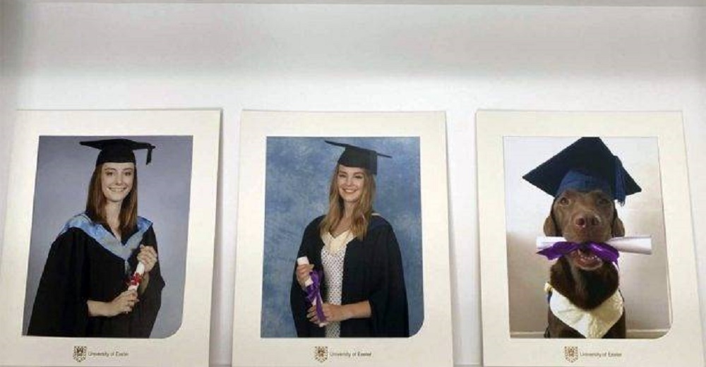 Familia le toma a su perro sus propias fotos de graduación para no excluirlo