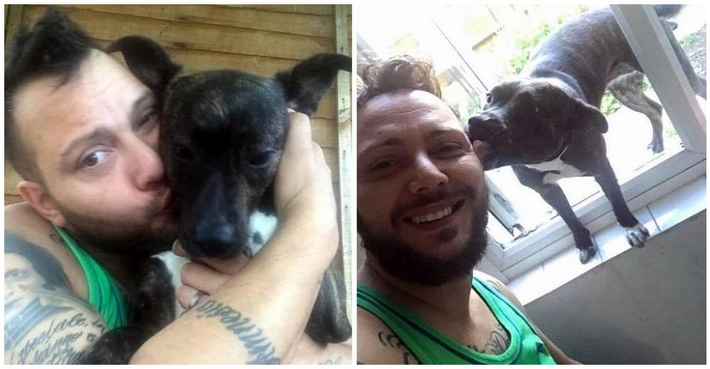 Perrita fue dada en adopción a otra familia y su dueño lucha por recuperarla