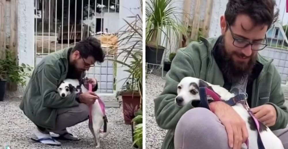 Una perrita adoptada suplica con desesperación que no la saquen a pasear, teme ser abandonada