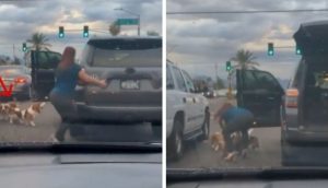 Mujer en tacones corre a parar el tráfico por unos perros sin saber que era grabada