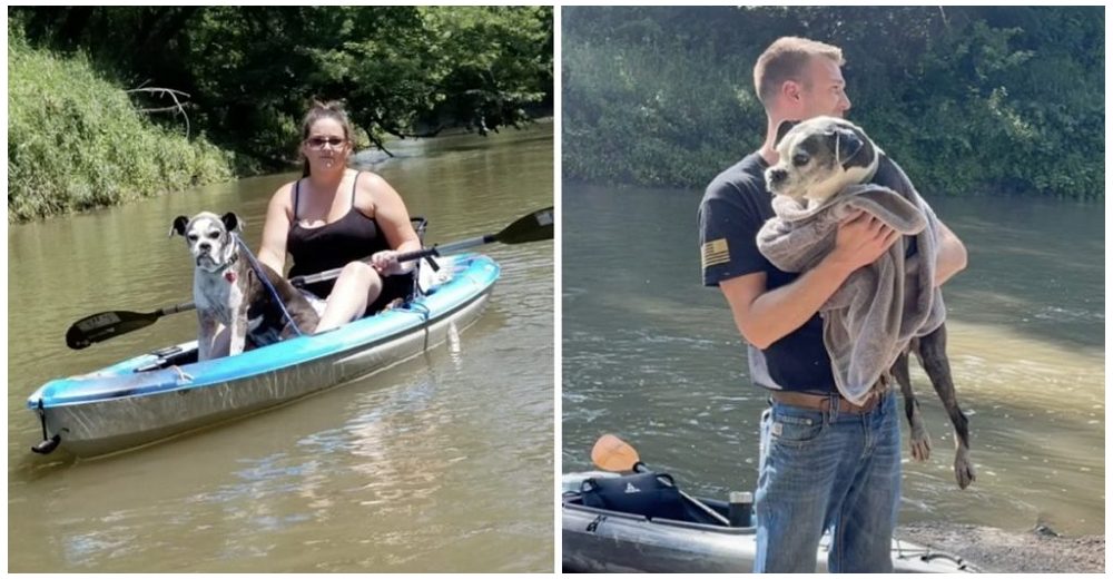 Pareja que paseaba en kayak encuentra una perrita lesionada que huyó de los fuegos artificiales