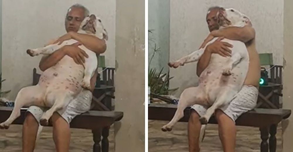 Graba a su padre con el pitbull adoptado en su regazo después de que dijo odiar a los perros