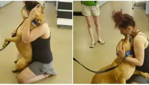 Mujer va a un refugio a adoptar y entre lágrimas abraza al perrito que perdió hace 2 años