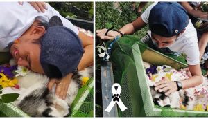 Despide a su amado perrito el joven que conmovió a millones tras su larga lucha por salvarlo