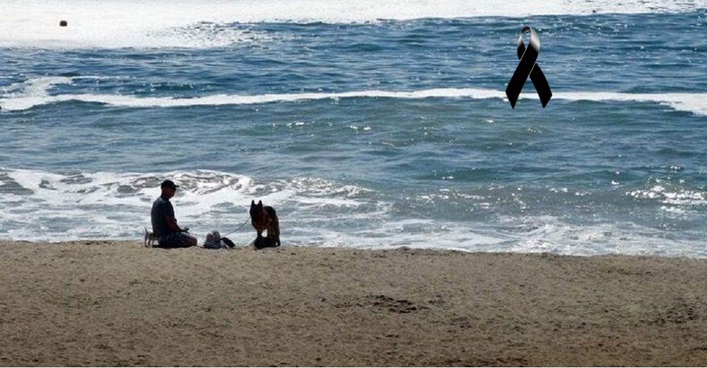 Logra salvar a su perrito que se ahogaba en el mar, pero él no pudo sobrevivir