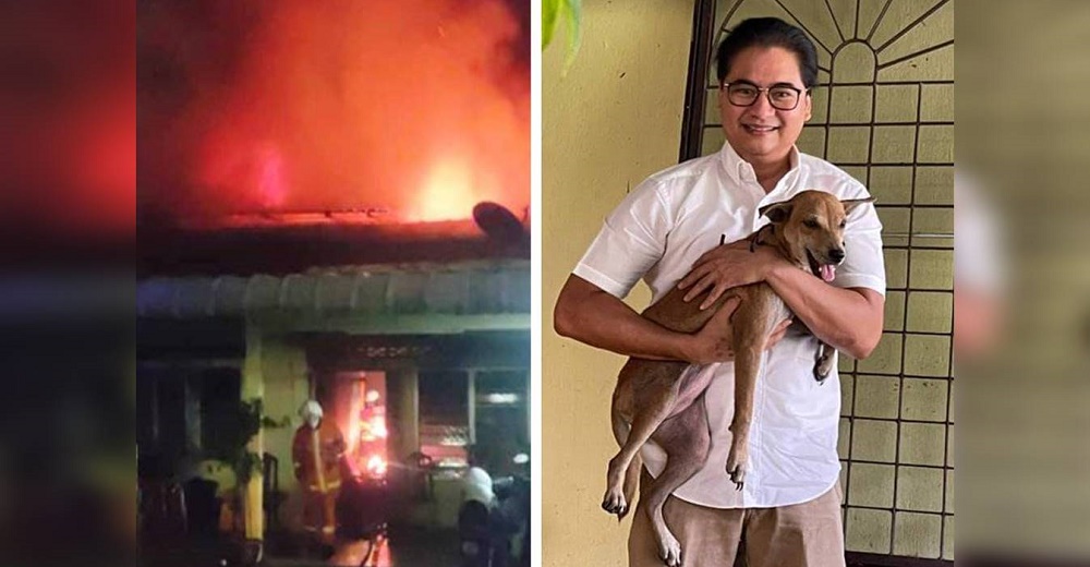 Usa sus dientes para alertar desesperadamente a su dueño del devastador incendio en su vivienda Usa sus dientes para alertar desesperadamente a su dueño del devastador incendio en su vivienda