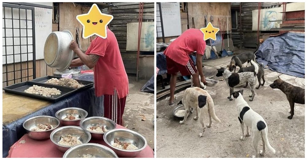 Piden ayuda para el hombre que sin tener nada se dedica a alimentar a los perros callejeros